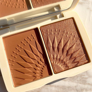 FOCALLURE Face Makeup Bronzer Palette