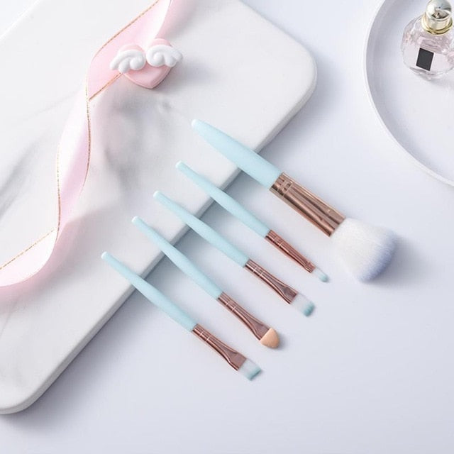 5 PCS/Set Professional Beginner Makeup Brushes